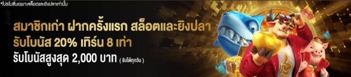 โปรโมชั่นประจำเว็บไซต์